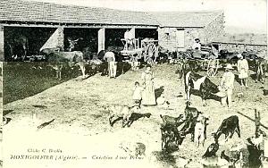 348- Montgolfier - Creation d'une ferme